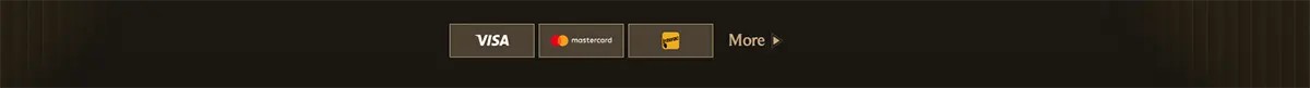 Payment methods footer with Visa, Mastercard, and Maestro icons plus a “More” link on a dark gold background.
