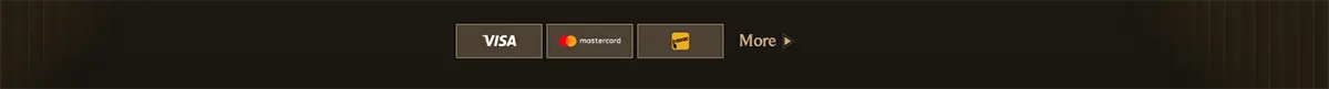 Payment methods footer with Visa, Mastercard, and Maestro icons plus a “More” link on a dark gold background.